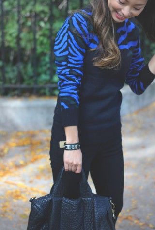 hermes bracelet, alexander wang