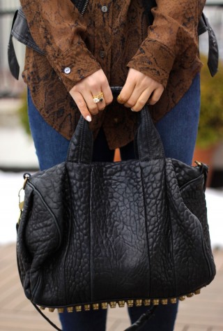 equipment blouse, alexander wang rocco, street style, python