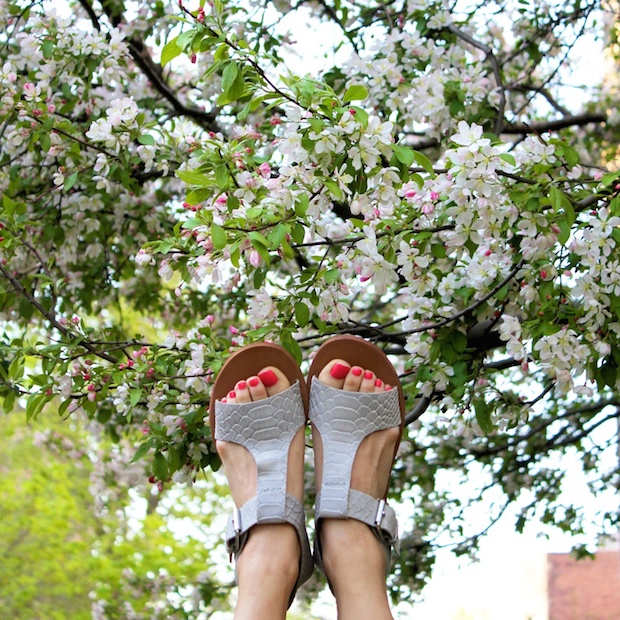 anthropologie, sandals, verge tstrap, snakeskin